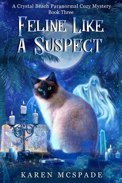 Feline Like A Suspect by Karen McSpade