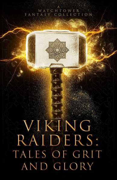 Viking Raiders: Tales of Grit and Glory by Rachel Tsoumbakos