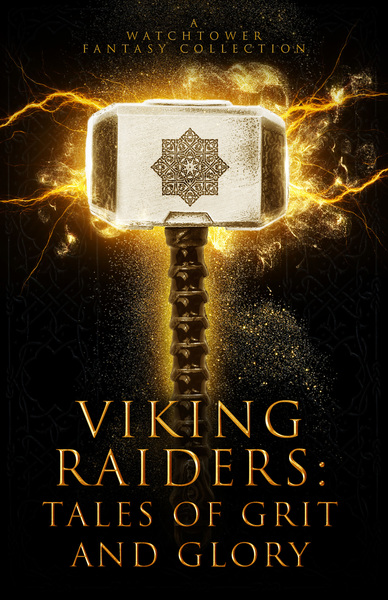Viking Raiders: Tales of Grit and Glory by Adam Johnson